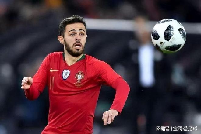 媒体的关注 媒体的关注